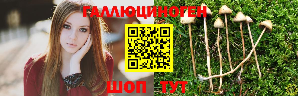 Галлюциногенные грибы Cubensis Копейск